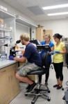 The scientific team examines in a lab the molecule