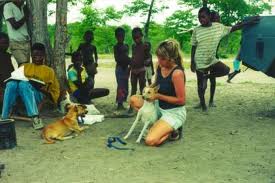 World's leading lion researcher calls for a 'Marshall Plan' for African wildlife