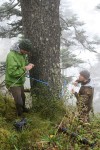 Geography Students Travel to Guatemala to Collect Tree-Ring Data in the Wild