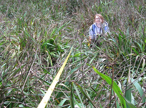 Kristin Powell measuring out a study plot of invasive flax