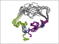 University of Minnesota Researchers Unveil First Artificial Enzyme
