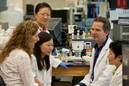 gift advances Cornell veterinary medical research