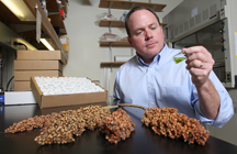 Million To Improve Sorghum Research Tools