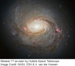 The Role of Supermassive Black Holes in Galaxy Evolution