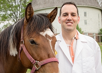 Cellphone Technology Helps Horses Recover From Surgery