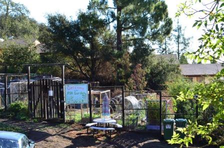 EPA Honors University's Dining Hall Food Composting Program