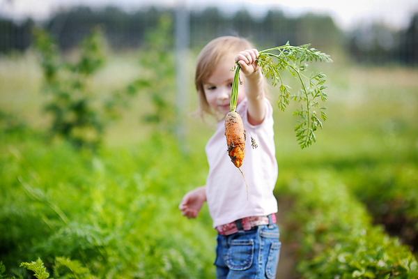 Kids Eat More Vegetables After Nutrition Lessons, Stanford Study Finds