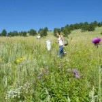 Front Range during CU-Boulder survey