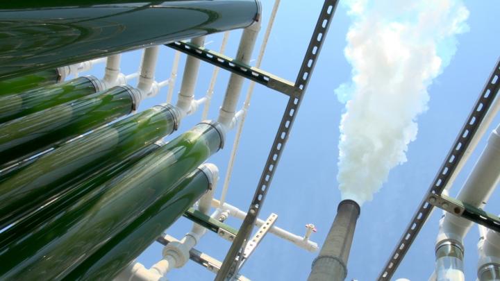 CAER Scientists, Duke Energy Demonstrate Algae-Based Carbon-Capture System